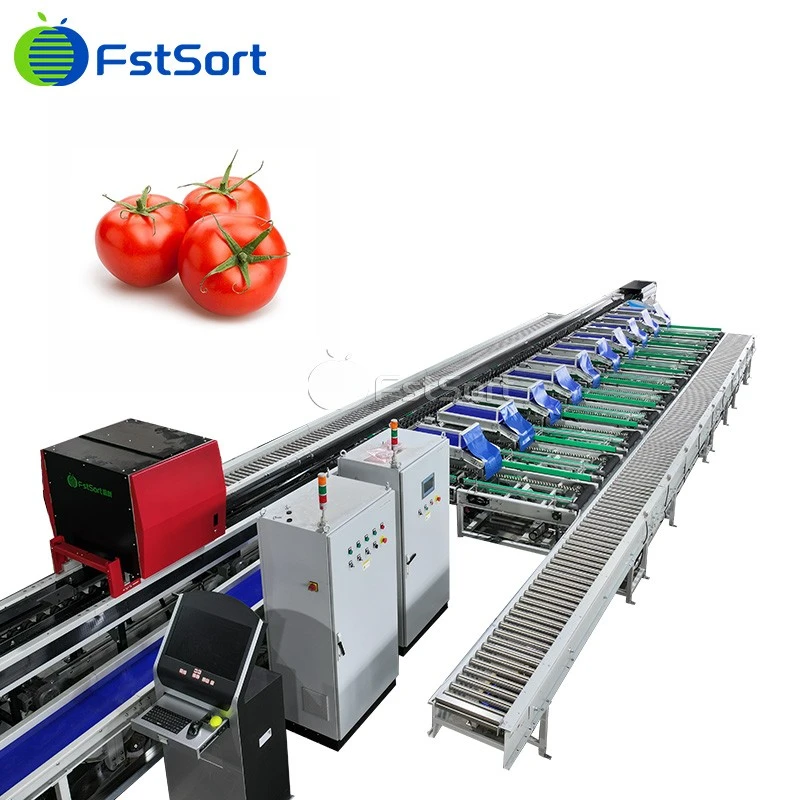 Automatic Tomato Optical Sorting Machine,Nangato -Napartak nga Optiko nga Pagurnos Ti Kamatis