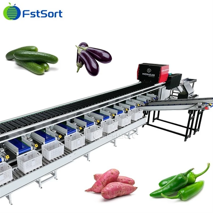 Nangato ti kalidadna a panagurnos iti kamote ti makinruar a depekto a makina Automatiko a kamote optical sorting machine .